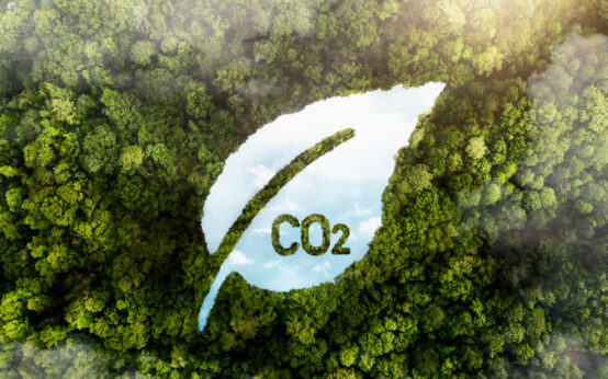 carbon neutral